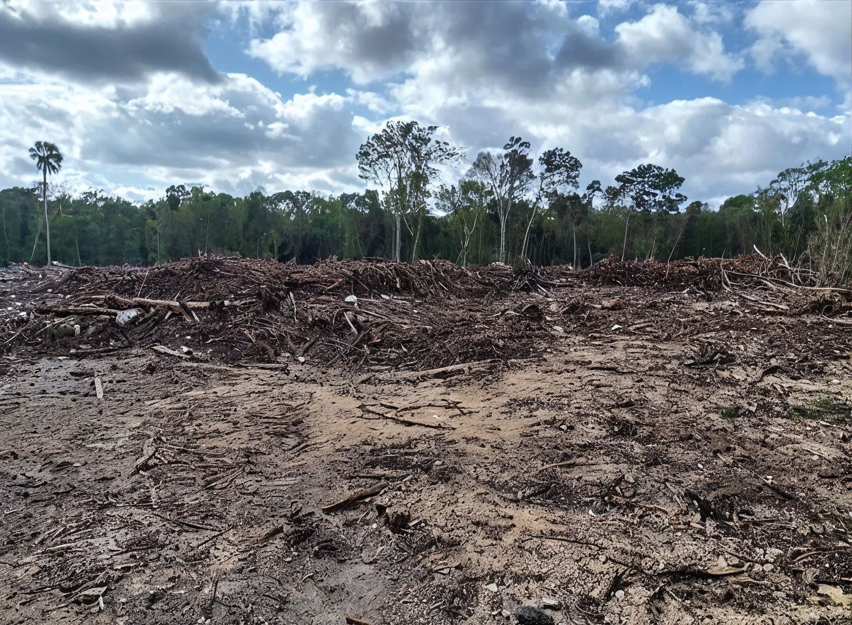 Samadhi Cancún